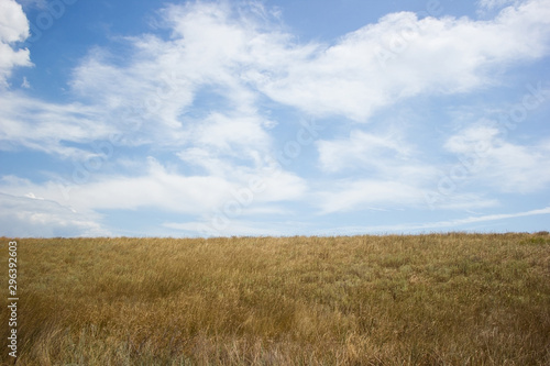 Landscape blue clouds grass field and horizon - background