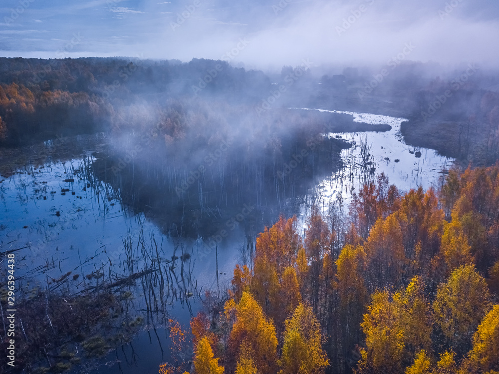 Aerial view of Dreamy foggy autumn landscape over the swamp