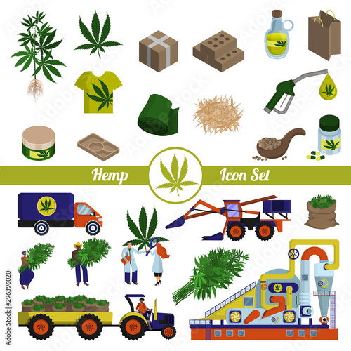 Hemp and cannabis products. Production and processing