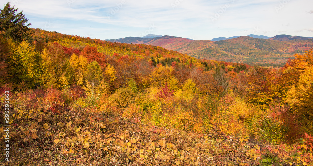 Amazing and stunning fall foliage colors