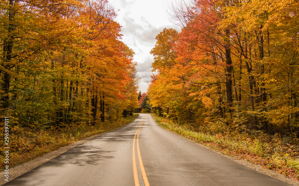 Autumn roads with amazing colors on both sides