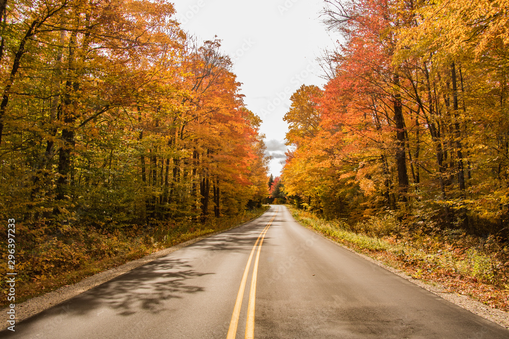 Autumn roads with amazing colors on both sides Autumn roads with amazing colors on both sides