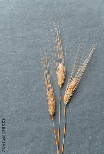 Wheat Stalks on Steel Blue Linen with extra Space for Text