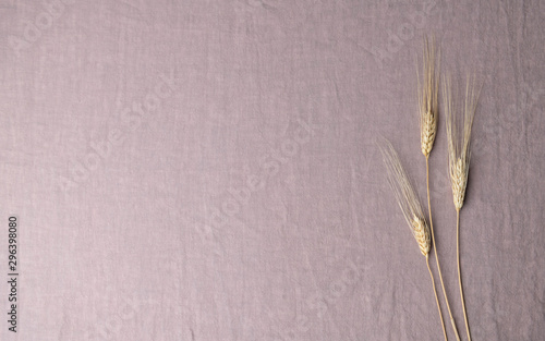 Wheat Stalks on Mauve Pink Linen with Extra Space for Text