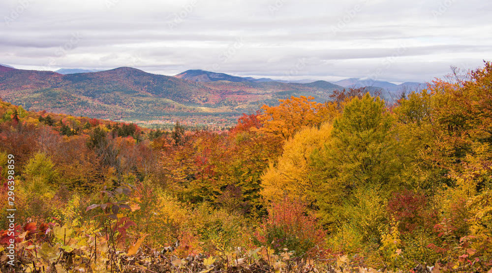 Amazing and stunning fall foliage colors