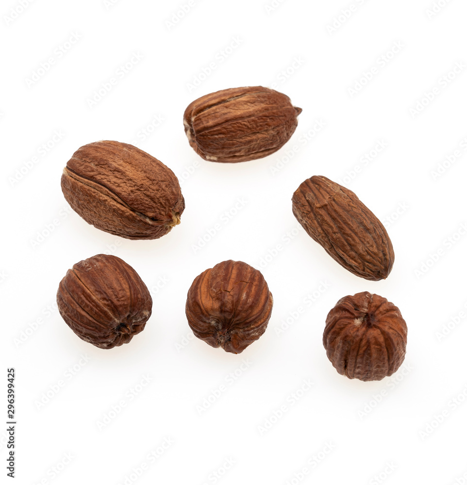 acorns nuts isolated on a white background. acorns nuts isolated on a white background.