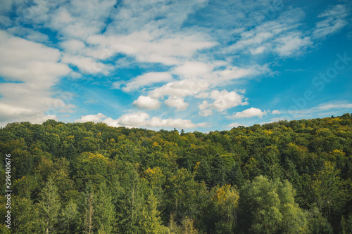 top view horizon forest top of trees foliage on vivid blue sky white clouds background wallpaper pattern empty copy space for your text 