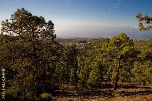 landscape from the Canary Island of Tenerife in the center of the island with a cloudless sky