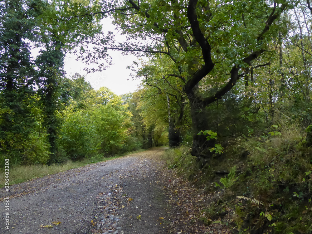 Herbststimmung Herbststimmung