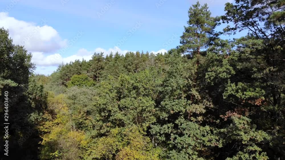 Rising aerial of trees in a forest reaching a new height to expose a huge forest and distant hills in the Kaunas region of Lithuania Rising aerial of trees in a forest reaching a new height to expose a huge forest and distant hills in the Kaunas region of Lithuania