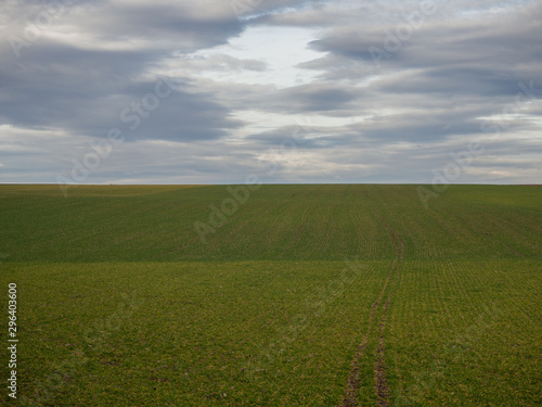 Landscape cloudy sky and agriculture field © Sabine Se