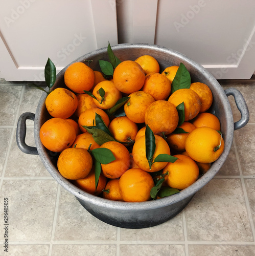 Bunch of oranges in bucket