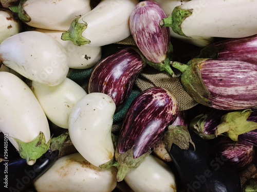 High angle view of purple and white eggplant