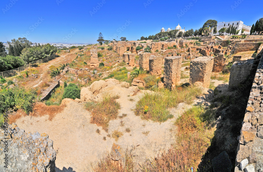 Fototapeta premium Ruins of ancient city of Carthage in Tunisia