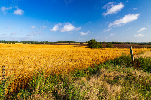 Hertfordshire countryside near Albury east England photo