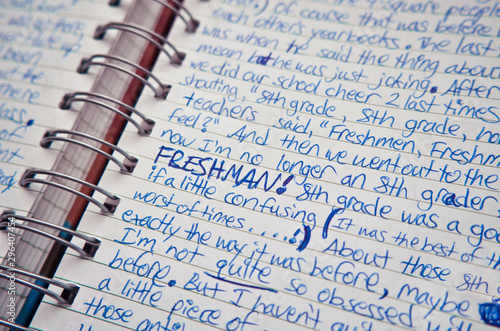 Photos Handwritten Diary Entry by a Teenager