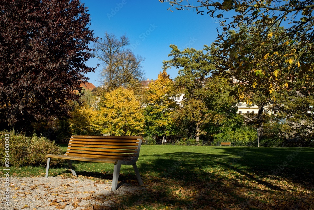 Autumn background, empty bench outside in park at autumn evening. Autumn background, empty bench outside in park at autumn evening.