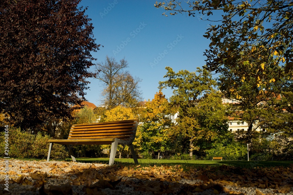 Autumn background, empty bench outside in park at autumn evening.