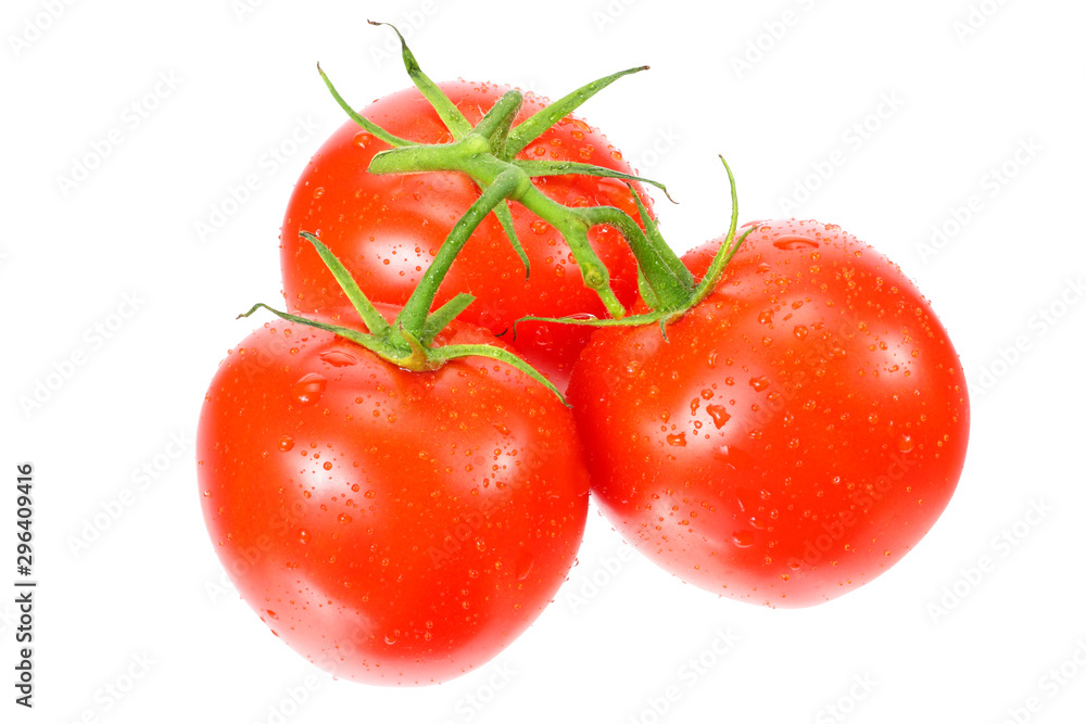 branch of fresh tomatoes isolated on white background branch of fresh tomatoes isolated on white background