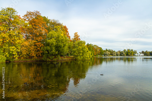 Autumn Park in Pushkin. Large pond. Saint-Petersburg. Morning.