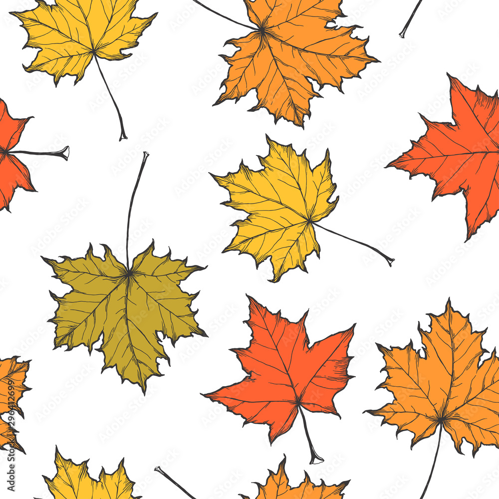 Fototapeta premium Vector seamless pattern with fallen maple leaves isolated on white. Hand drawn botanical texture with natural elements in autumn season