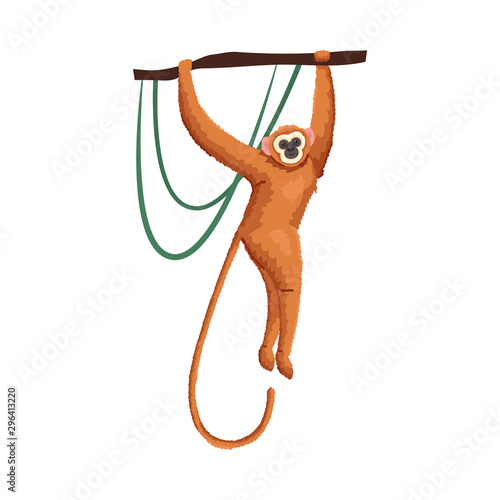 Cute tropical orange gibbon monkey on the branch. Vector illustration isolated on white background