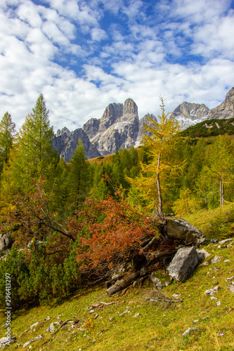 Die Bischofsmütze im Herbstkleid photo