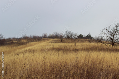 hilly steppe with high dry grass