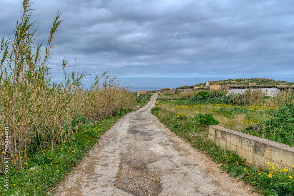 Country Road in Gozo island, Malta