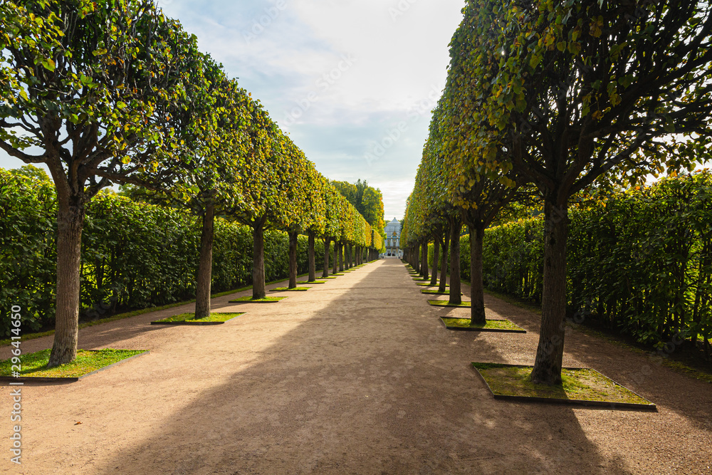 Obraz premium Alleys of the garden. Autumn Park in Pushkin. Saint-Petersburg. Morning.