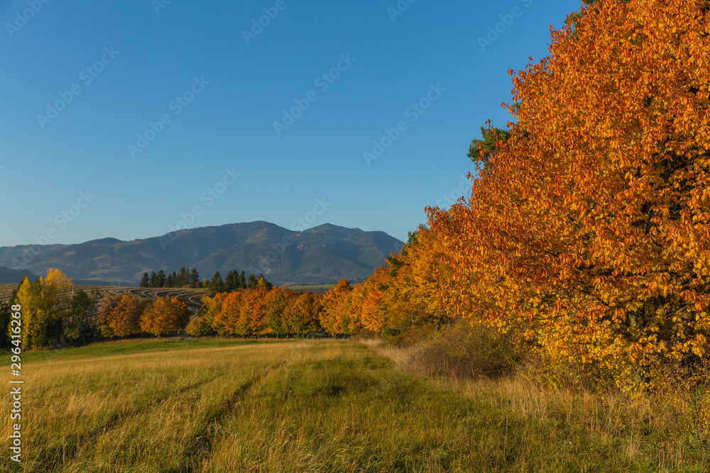 Autumn Landscape. Background with autumn colorful leaves Autumn Landscape. Background with autumn colorful leaves