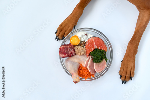Natural Raw organic dog food in bowl and dog's paws on white background. BARF dog diet. 