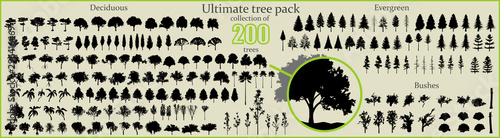 Fényképezés Even More Ultimate Tree collection, 200 detailed, different tree vectors