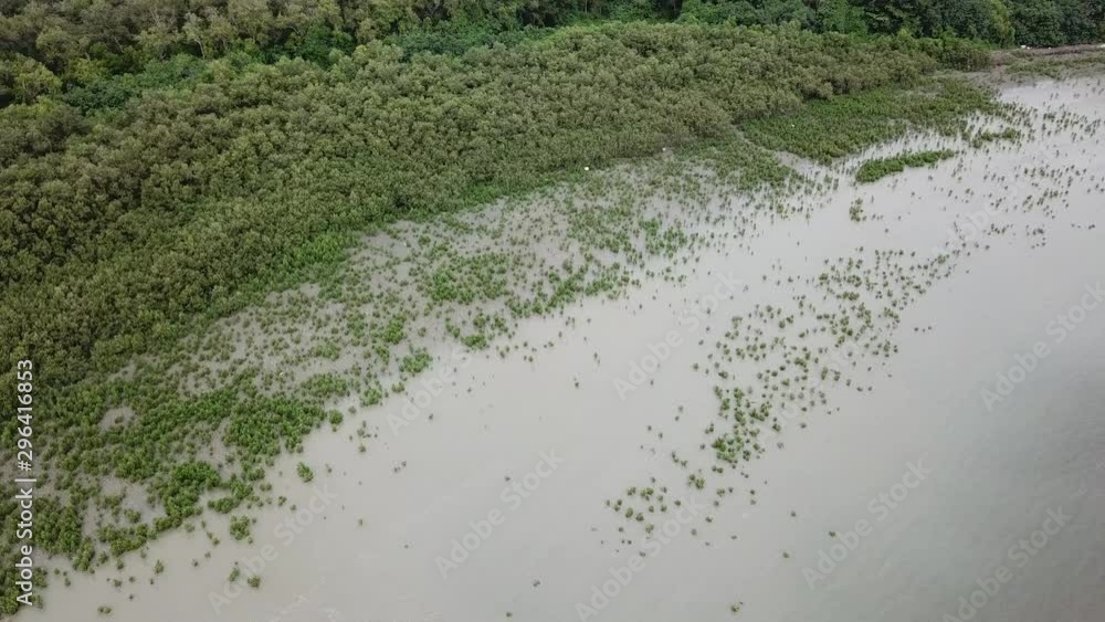 View from top mangrove tree and coastal. View from top mangrove tree and coastal.