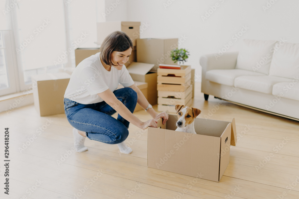 New home, moving day and relocation concept. Positive brunette woman plays with pedigree dog in carton container, unpack boxes with belongings, pose in spacious living room with comfortable sofa New home, moving day and relocation concept. Positive brunette woman plays with pedigree dog in carton container, unpack boxes with belongings, pose in spacious living room with comfortable sofa