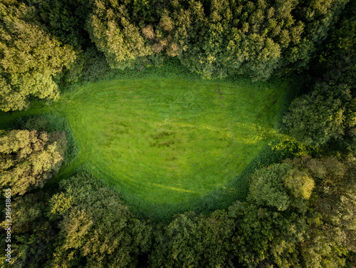 Small green glade in forests, Aerial top view, Oval shape.