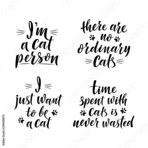 Cute slogans about cat. Handwritten textured sign for cat lovers. I'm a cat person. Lettering phrase for poster design, postcard, t-shirt print or mug print. Vector isolated illustration