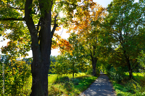 Colorful autumn Trees in the Landscape of the central Bohemia, Czech Republic