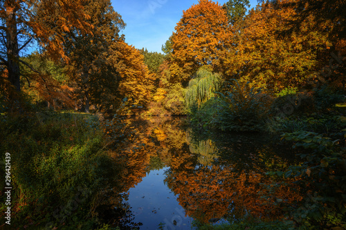 Beautiful autumn forest with colorful foliage around a lake with reflection, seasonal nature landscaape