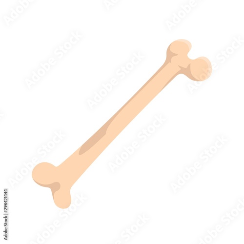 Human bone icon. Flat illustration of human bone vector icon for web design