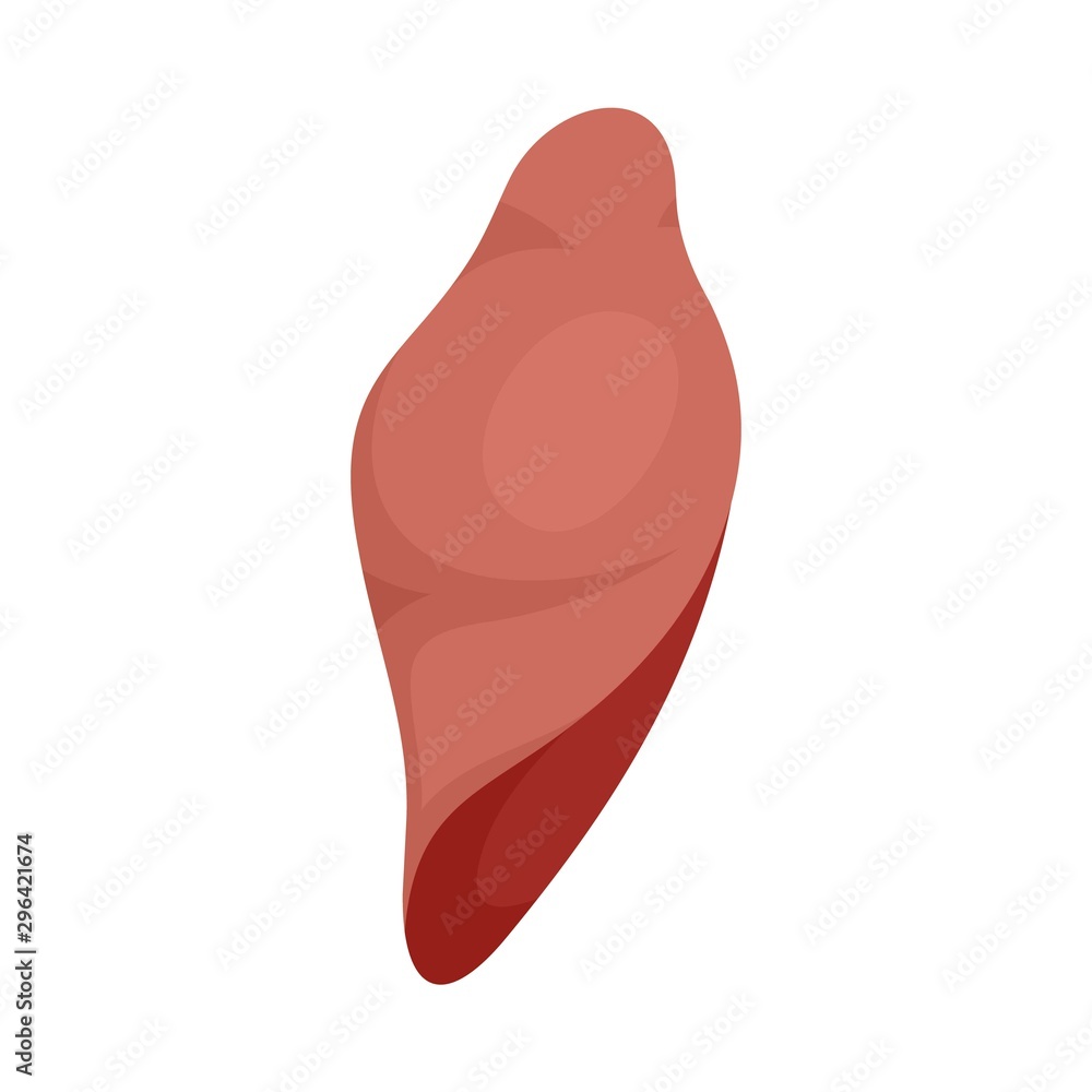 Liver icon. Flat illustration of liver vector icon for web design Liver icon. Flat illustration of liver vector icon for web design