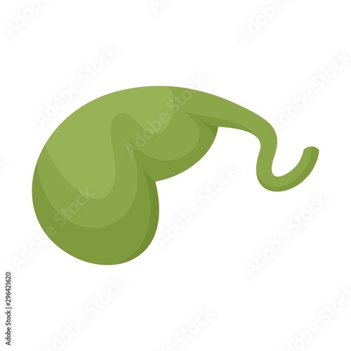 Gallbladder icon. Flat illustration of gallbladder vector icon for web design