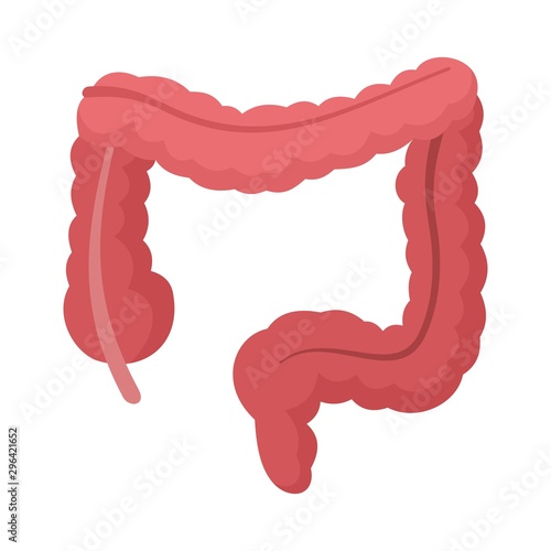 Human intestine icon. Flat illustration of human intestine vector icon for web design