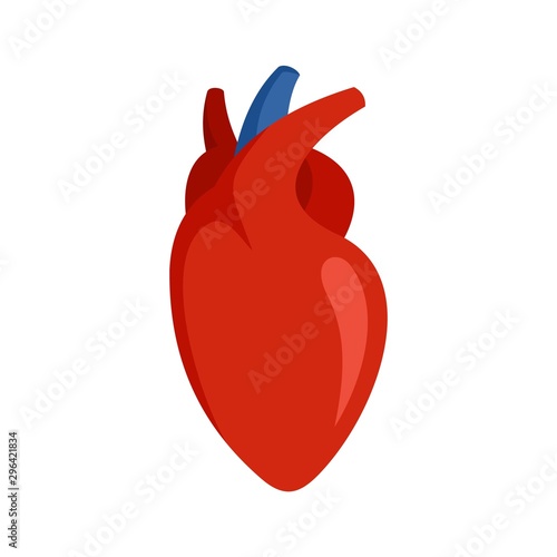 Human heart icon. Flat illustration of human heart vector icon for web design