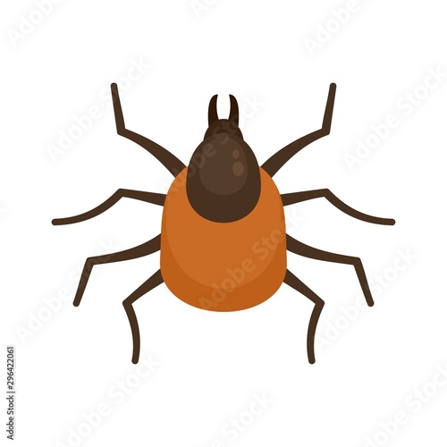 Mite icon. Flat illustration of mite vector icon for web design