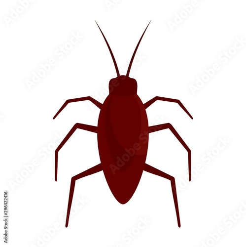 Cockroach bug icon. Flat illustration of cockroach bug vector icon for web design
