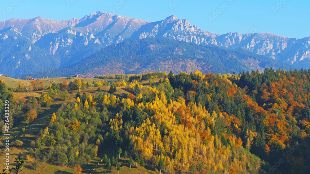 Colorful trees forest and high mountains, autumn landscape