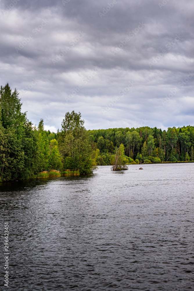 Naklejka premium Wild nature of northwest Russian rivers