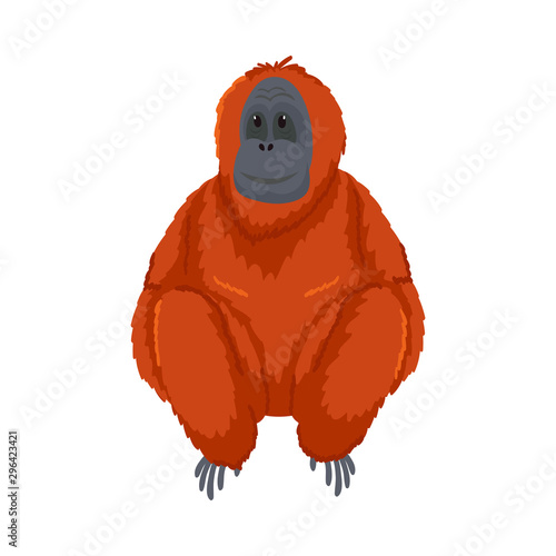 Cute orange orangutan monkey sitting. Vector illustration isolated on white background