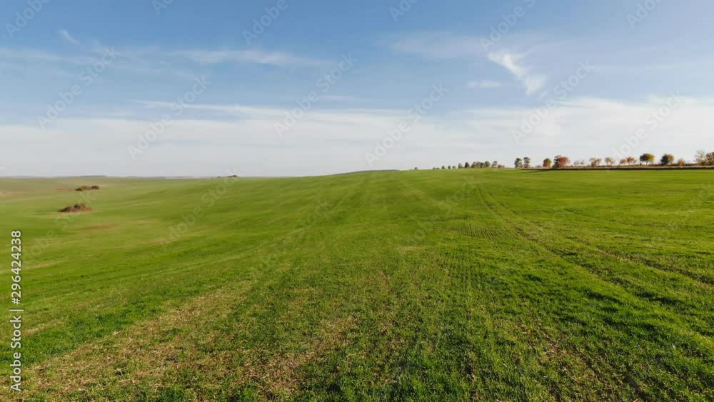 Green whea field in an agricultural landscape. Drone aerial view of whea field, sunset moment Green whea field in an agricultural landscape. Drone aerial view of whea field, sunset moment